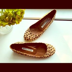 Manolo Blahnik Leopard Print Ballet Flats